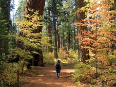 Where to Find Fall Colors in Calaveras