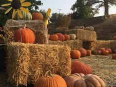 Spooktacular Halloween Events in Calaveras