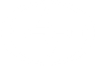 Scion