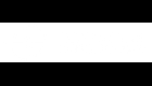 Interactive Intelligence