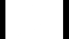 Scion