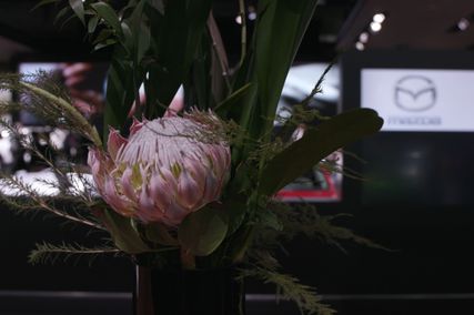 MAZDA ‘PREMIUM’ EXPERIENCE at NAIAS 2017