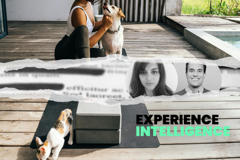 Experience Intelligence September ’24