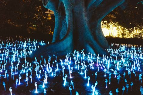THE TRANSFORMATIVE POWER OF IMMERSIVE SENSORY EXPERIENCES
